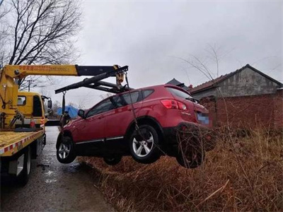 大埔楚雄道路救援